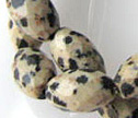 Dalmatian Jasper